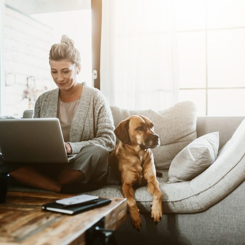 Businesswoman working on laptop computer sitting at home with a dog pet and managing her business via home office